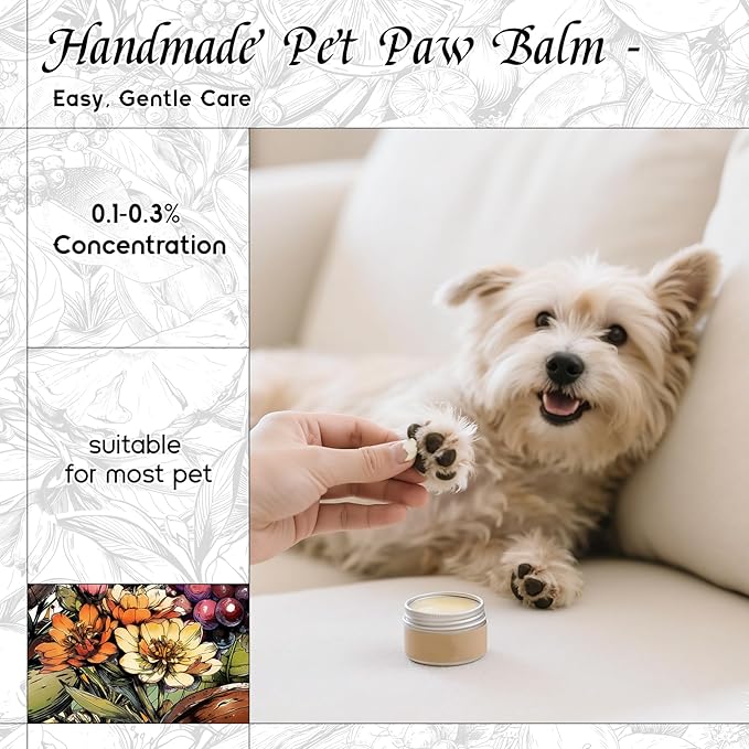 HIQILI Spring Eternal Fragrance Oil for Candle & Soap Making, Inspired by Gtal L.Chevre-feuille, Add to Air Freshener Spray, Essential Oil Diffuser, Honeysuckle - 5.07 Fl Oz