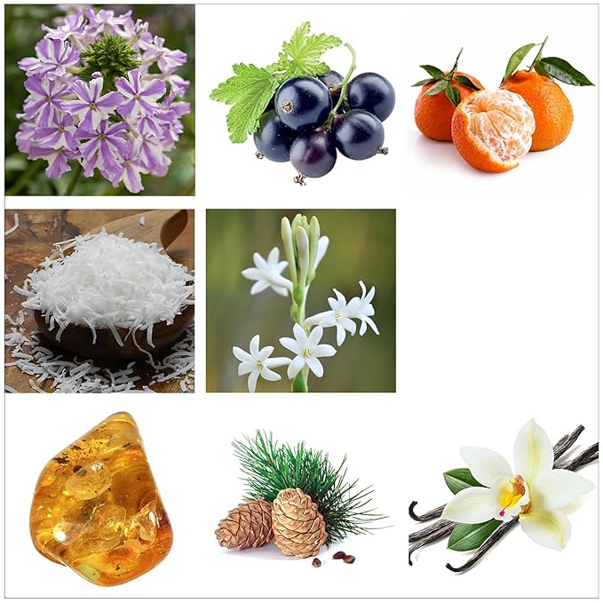 Rachel Zoe Fearless - 0.34 oz Eau de Parfum Mini Spray - Perfectly Balanced Feminine Perfume for Women - Awaken the Senses with a Lasting Signature Designer Scent