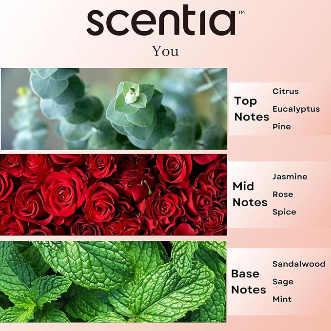 Fierce-Inspired Diffuser Oil - Scentia You Fragrance Oil Perfume Dupe - 20mL, 0.67 Fl oz Diﬀusers and Humidifiers - A and F Inspired Essential Scented Oil - Best for Aromatherapy, Thanksgiving Gift