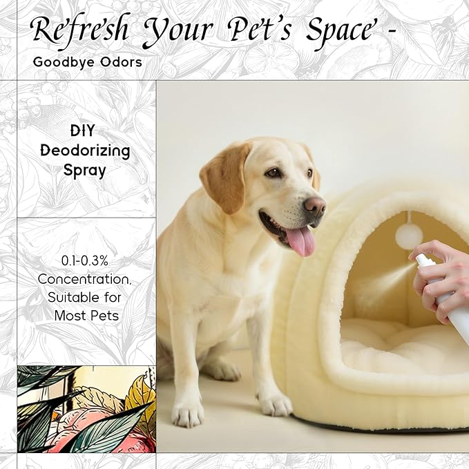 HIQILI Fairy Tale Pixie Fragrance Oil, Peach & Lemon Scents, for Making Soap, Room Spray, Body Scrub, Hotel Luxury, Home Diffuser, Secret Wish - 1 Fl Oz