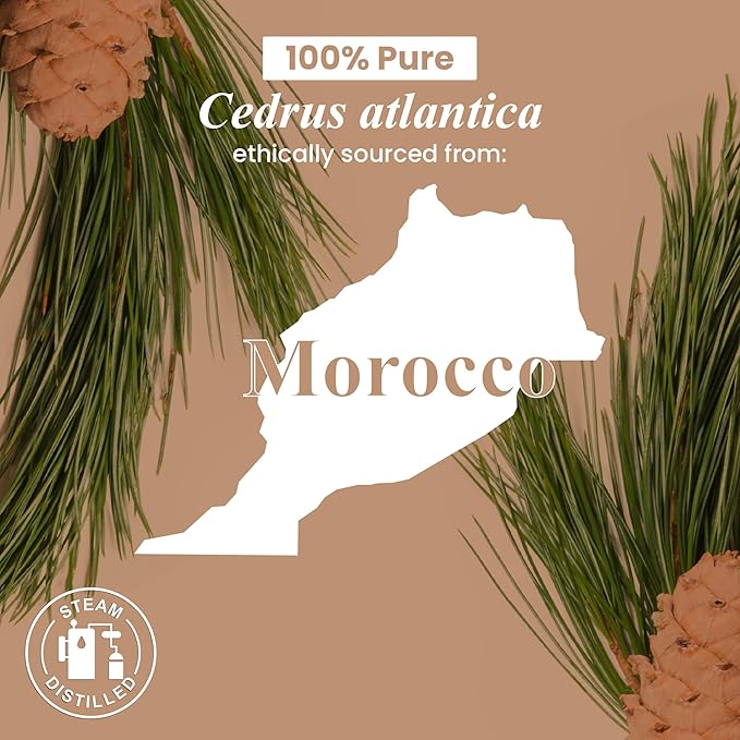 Handcraft Blends Organic Cedarwood Essential Oil – 1 Fl Oz – 100% Pure and Natural – Premium Grade Essential Oil for Diffuser and Aromatherapy