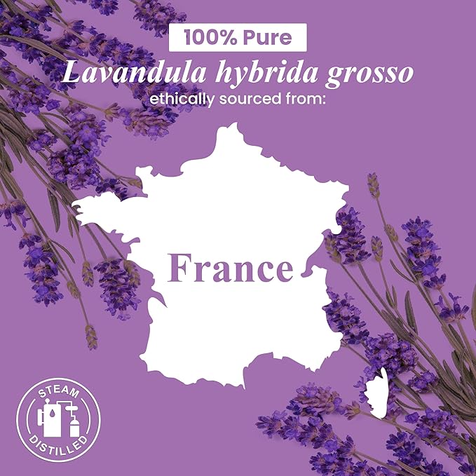 Handcraft Blends Lavender Essential Oil in Glass Bottle – Huge 16 Fl Oz – 100% Pure and Natural – Premium Grade Oil for Diffuser and Aromatherapy, Skin, Massage, Candle and Soap Making Fragrance