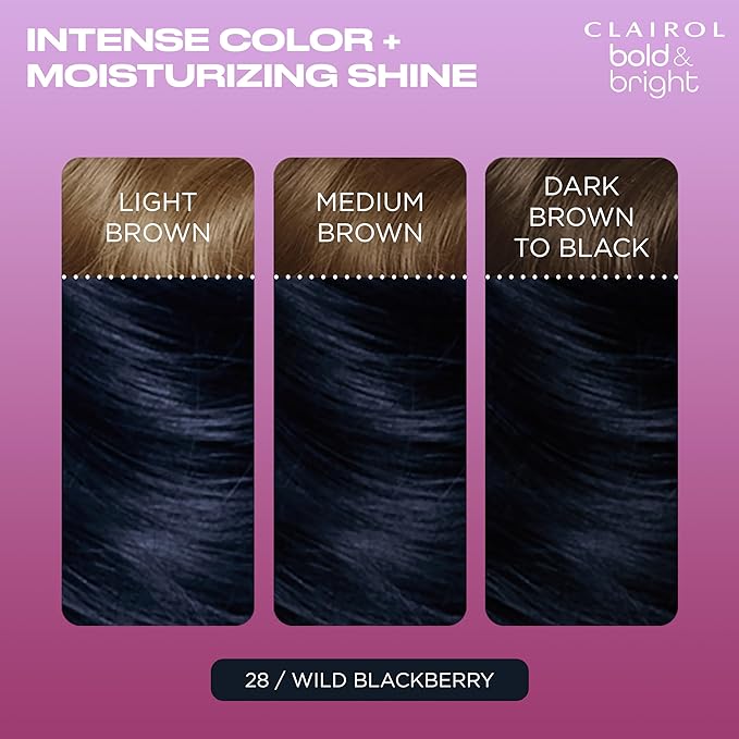 Clairol Bold & Bright Permanent Hair Dye, 28 Wild Blackberry Hair Color, Pack of 1