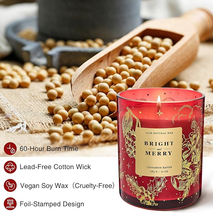 M&SENSE Holiday Scented Candle Gift for Women and Men - Cinnamon Scent, 10 oz Soy Wax, Birthday,Holiday,Christmas,New Year Gift