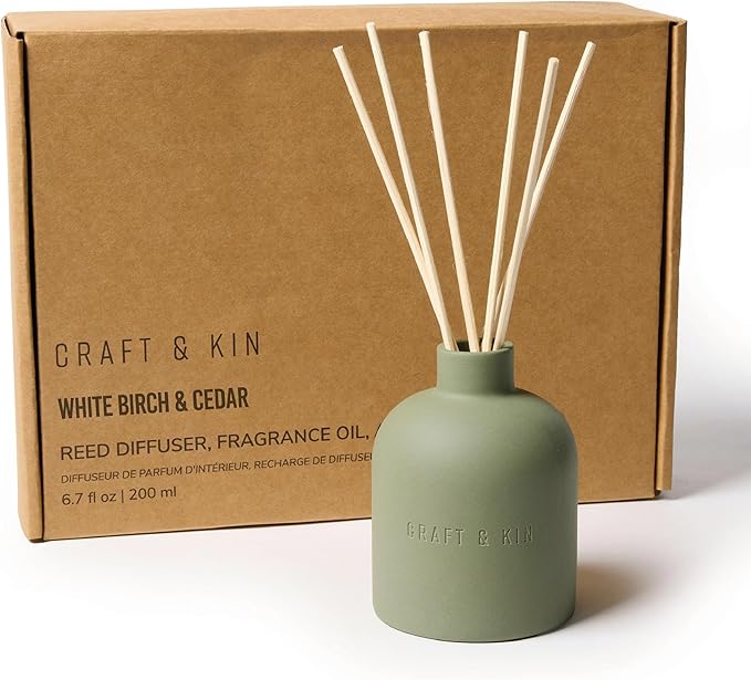 Craft & Kin Christmas Reed Diffuser for Home & Bathroom – White Birch & Cedar Holiday Reed Diffuser Set with Fragrance Sticks, Long-Lasting Alcohol-Free Winter Scent, Earthenware Collection, 6.7oz