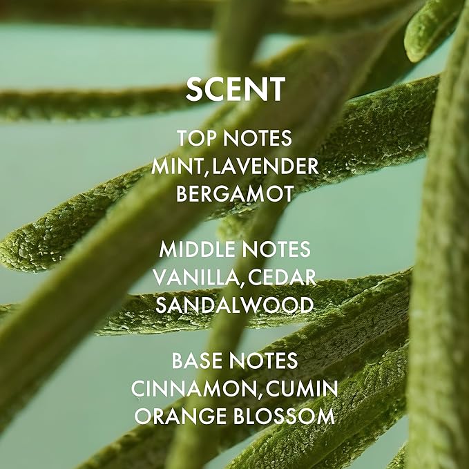 ALFHEIM Rosemary+ Purifying Hair Mask – Deep Hydrating & Balancing Treatment for Oily & Fine Hair with Rosemary, Peppermint & Jojoba Oils – Strengthens, Smooths & Refreshes – Sulfate Free – 8.45 oz