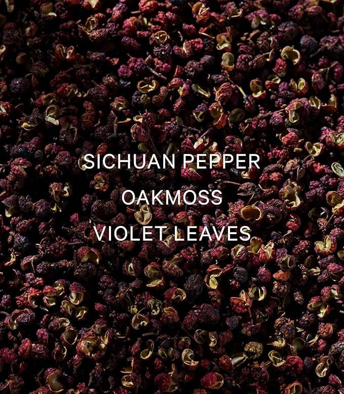 Victoria's Secret VS Him Platinum Men's Cologne (3.4 oz)