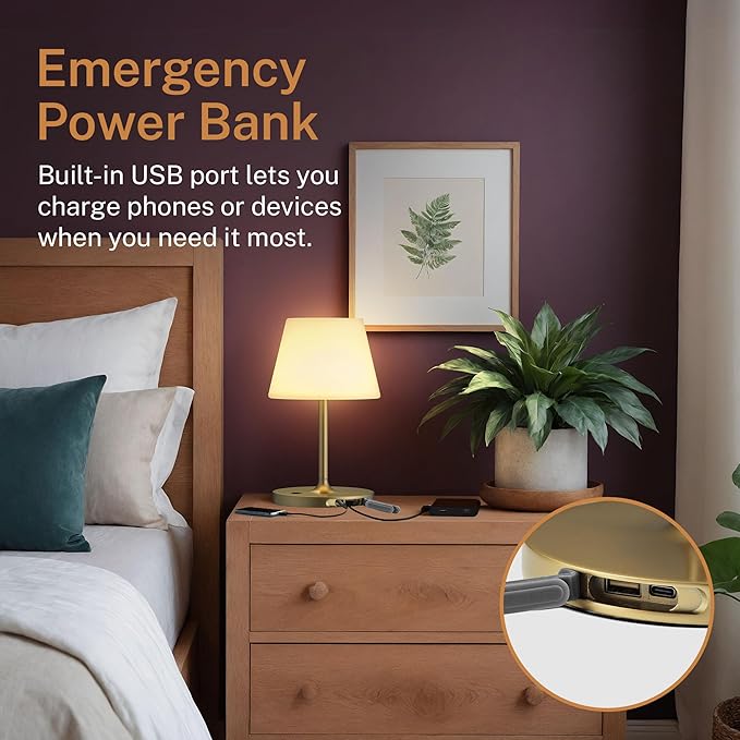 Cordless Lamp, 5000mAh Battery Operated Rechargeable Table Lamp with Power Bank, Touch Dimmable 3 Color Temperatures, IP44 Waterproof Shower Lamp for Kitchen, Bathroom, Indoor Or Outdoor Use 9.6in