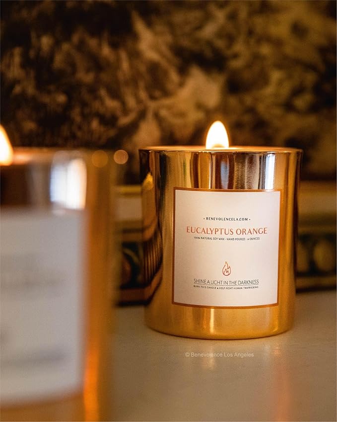 Benevolence LA Eucalyptus Orange Wood Wick Candles | Soy Christmas Scented Candles for Home | Holiday Candle Gifts for Women and Men | Home Fragrance | Aromatherapy | Shelf Decor | 8oz, 45 Hour Burn