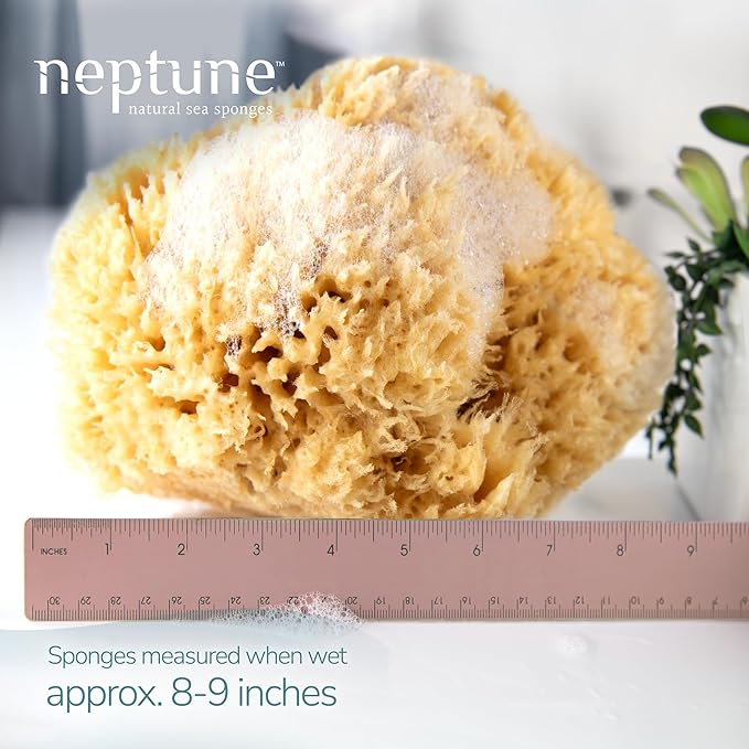 Neptune Sea Wool Sponge – Natural Mediterranean Bath Sponge, Hand-Cut, Extra-Large, Approx. 8-9", Gentle Exfoliation for Body & Skincare