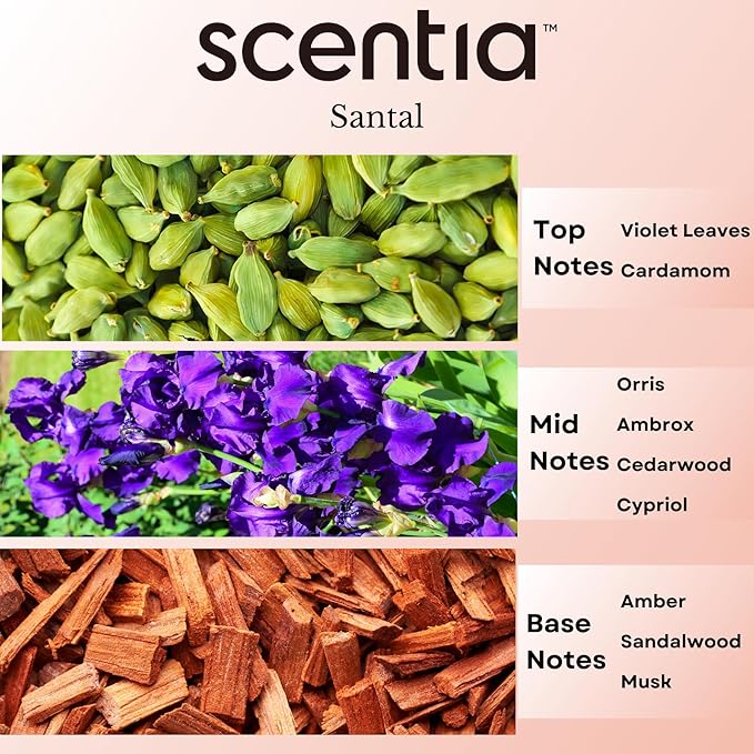 Santal Diffuser Oil – Premium 20ml Santal-Inspired Blend – Sandalwood, Amber, Musk, Cedar, Cardamom – Luxury Fragrance Oil for Ultrasonic & Waterless Diffusers – Made in USA, Thanksgiving Gift