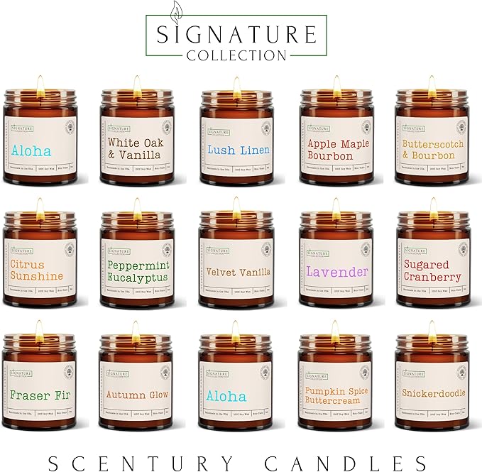 Sugared Cranberry Holiday Scented Candle, Many Scents to Choose from, All Natural Non-Toxic Soy Wax, Handmade in The USA (Sugared Cranberry)