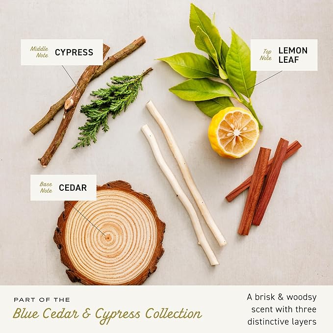 Cremo Cologne For Men - Blue Cedar & Cypress Mens Cologne Spray, A Woodsy Scent with Notes of Lemon Leaf, Cypress and Cedar, Multi-Layered Signature Men's Fragrances, 3.4 Fl Oz