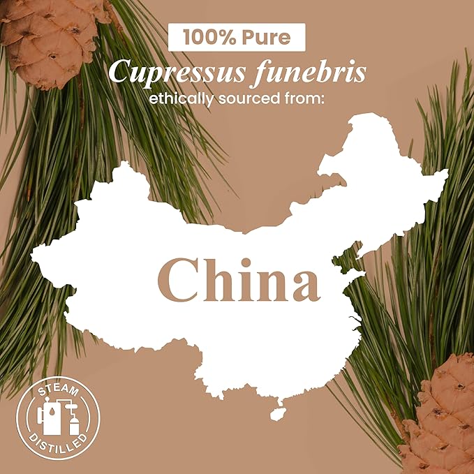 Handcraft Blends Cedarwood Essential Oil – Huge 4 Fl Oz – 100% Pure and Natural – Premium Grade Essential Oil for Diffuser and Aromatherapy, Skin, Massage, Candle and Soap Making Fragrance