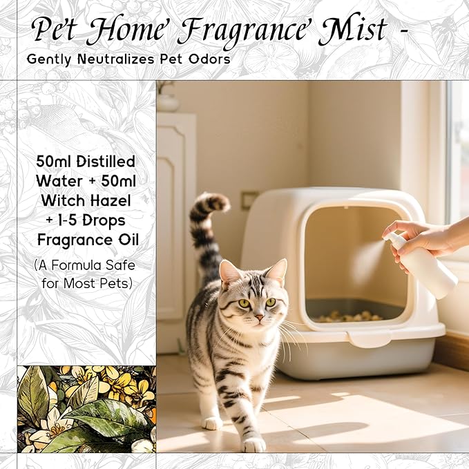 HIQILI Osmanthus Fragrance Oil, for Body Spray, Diffuser Use, Candle, Soap, and Women Perfume Making, Scented Essential Oil - 5.07 Fl Oz