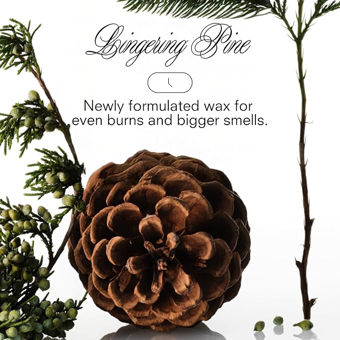 Boy Smells XXMAS Tree Candle – Holiday Soy Candle with Juniper, Evergreen & Winter Air – Fresh Pine Scented Candle for Home Décor & Christmas Gifting – 8.5oz