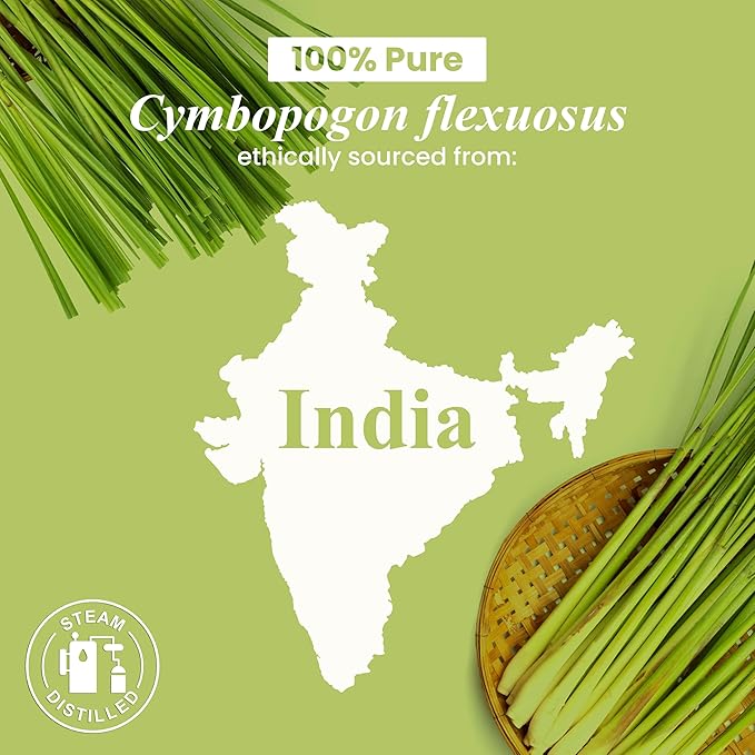 Handcraft Blends Lemongrass Essential Oil – 1 Fl Oz – 100% Pure and Natural – Premium Grade Essential Oil for Diffuser and Aromatherapy, Skin, Massage, Candle and Soap Making Fragrance