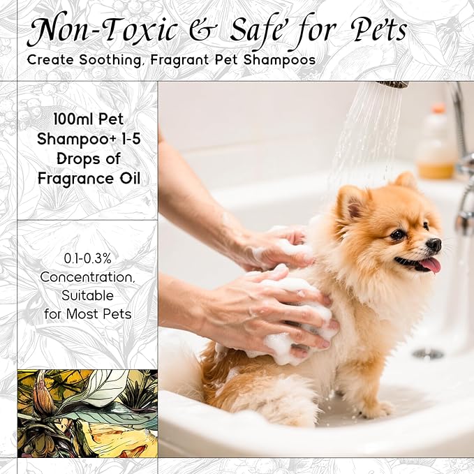 HIQILI Mint Bergamot Matins Fragrance Oil - 5.07 Fl Oz