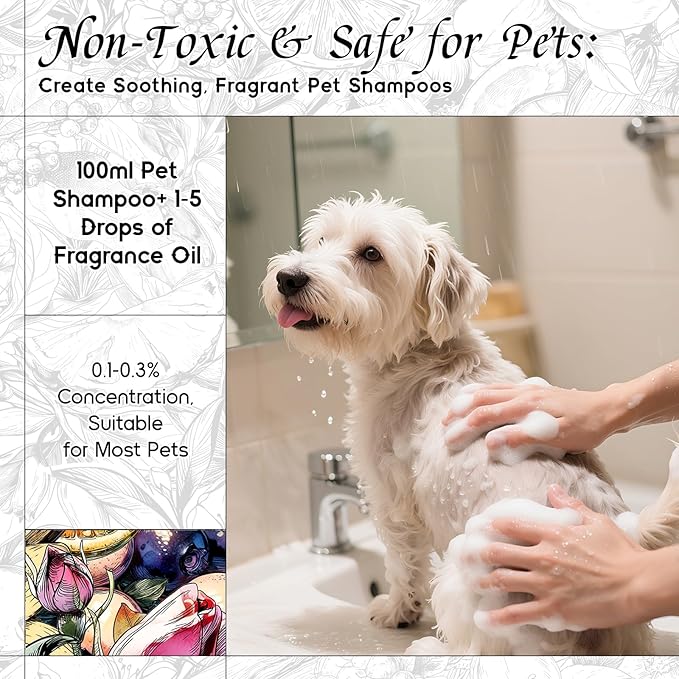 HIQILI Life Serendipity Fragrance Oil for Candle Making, Inspired by Chane. Chance, DIY Perfume, Bath Bombs, Aromatherapy, Long-Lasting Scent - 5.07 Fl Oz