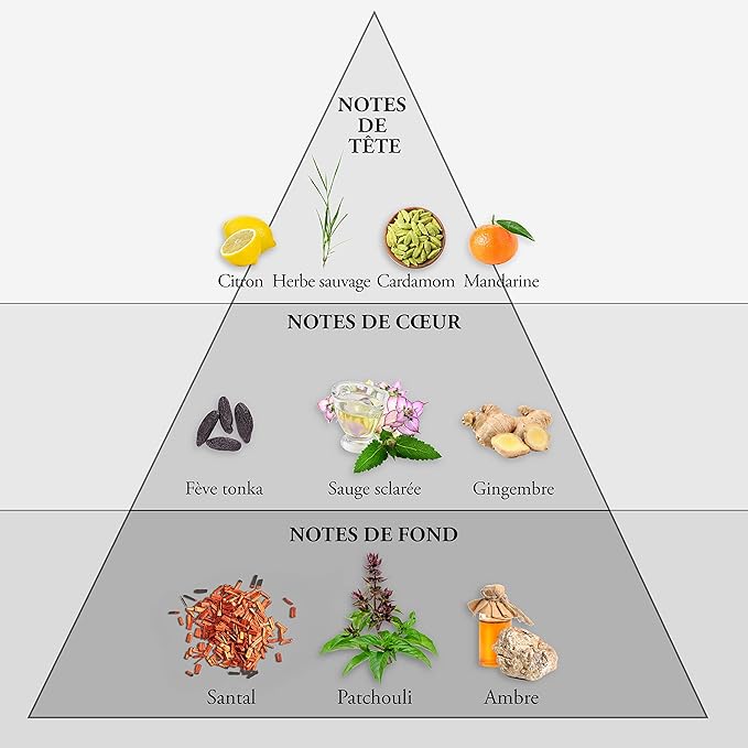 EVAFLORPARIS WHISKY SPORT Eau de Toilette for Men – Fresh and Energizing Scent with Mandarin, Ginger and Amber – For the Dynamic and Competitive Man – Made in France 3.4 Fl Oz