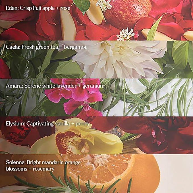 Hand Sanitizer + Serum™ | Caela | Hydrating K-Beauty Formula with Centella, Vitamin B5 & Green Tea | Kills 99.9% of Germs | Fresh Scent with Lavender, Geranium & White Musk | 650 Sprays