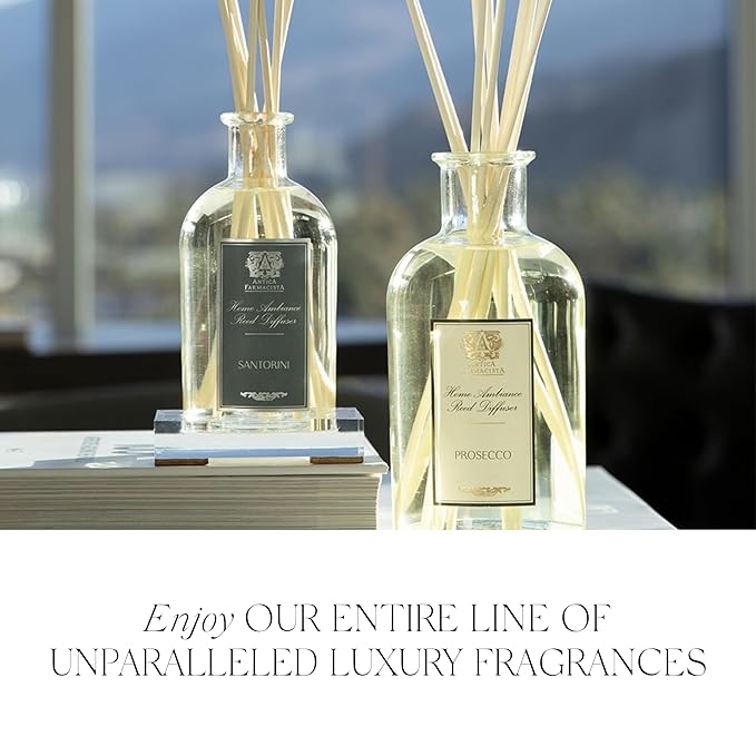 Antica Farmacista Body Moisturizer - Scented Moisturizing Lotion with Aloe Vera, Green Tea & Sweet Almond Oil - Luxury Gift for Any Occasion - Prosecco, 10 fl oz