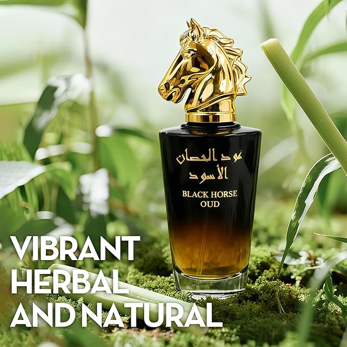 BLACK Horse Long-Lasting Cologne for Men | Fresh Citrus & Woody Scent | Eau de Toilette 100ml Spray | Day to Night Fragrance