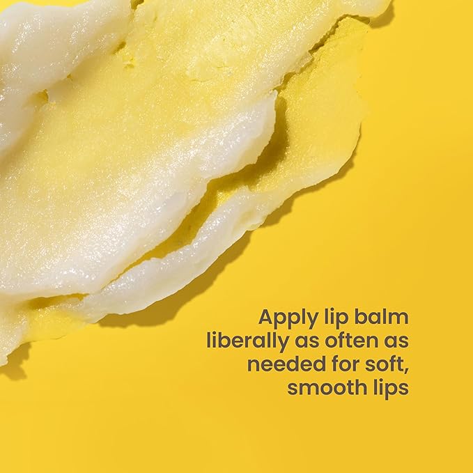 Burt's Bees Shea + Aloe Lip Balm Stocking Stuffers Christmas Gifts, Antioxidant Vitamin Rich Formula Locks in Moisture for Instant Hydration, Natural Smoothing Lip Treatment for After Sun Care(4-Pack)