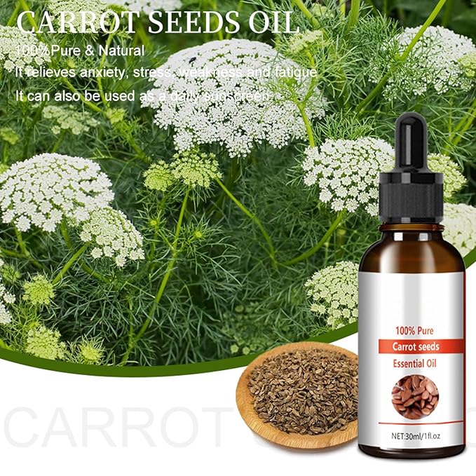 Carrot Seed Oil, Organic Carrot Seed Oil for Face Anti Aging, Firming Skin, Carrot Oil for Skin Hair Nails Moisturizer, 100% Natural Cold Pressed Unrefined Carrot Seed Essential Oil, 30ml