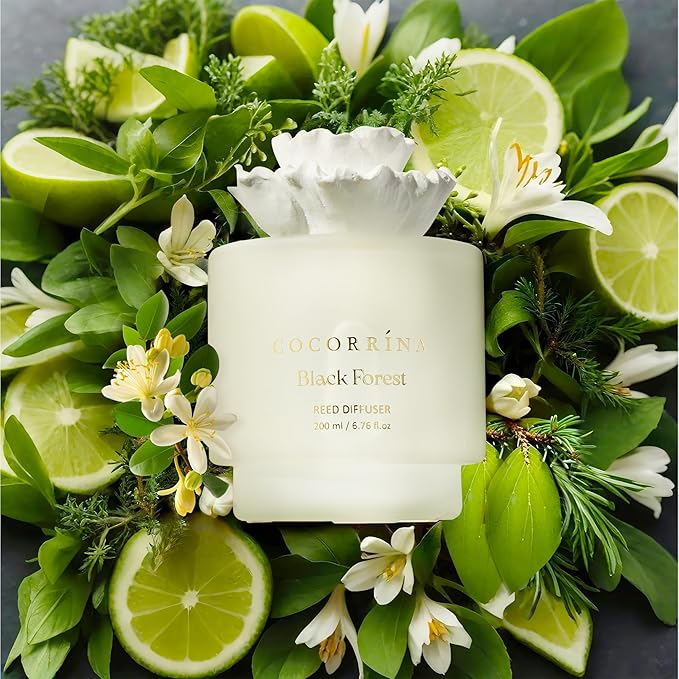 COCORRÍNA Gypsum Flower Reed Diffuser – Black Forest Scent, 6.76 oz Oil with 8 Sticks, Long-Lasting Home Fragrance for Bathroom Décor