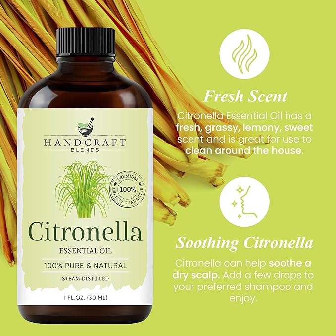 Handcraft Blends Citronella Essential Oil – 1 Fl Oz – 100% Pure and Natural – Premium Grade Essential Oil for Diffuser and Aromatherapy, Skin, Massage, Candle and Soap Making Fragrance