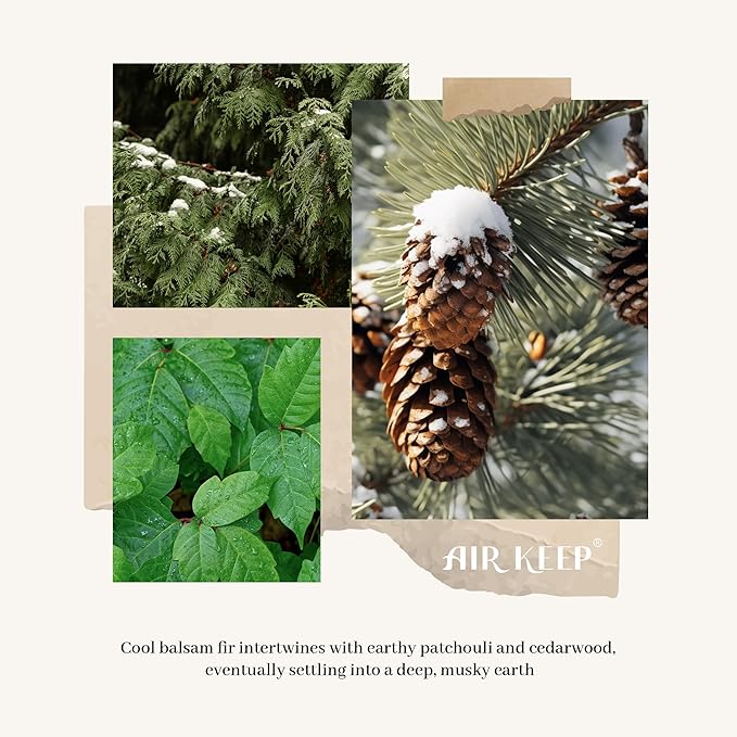 Airkeep Reed Diffuser Set,3.38 fl oz (100 ml) - Balsam & Fir Oil Diffusers with 8 Reed Sticks,Home Fragrance Reed Diffuser for Bathroom Shelf Decor Winter Fragrance