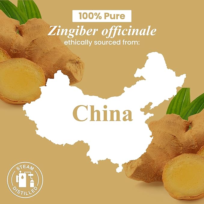 Handcraft Blends Ginger Essential Oil – 1 Fl Oz – 100% Pure and Natural – Premium Grade Essential Oil for Diffuser and Aromatherapy, Skin, Massage, Candle and Soap Making Fragrance