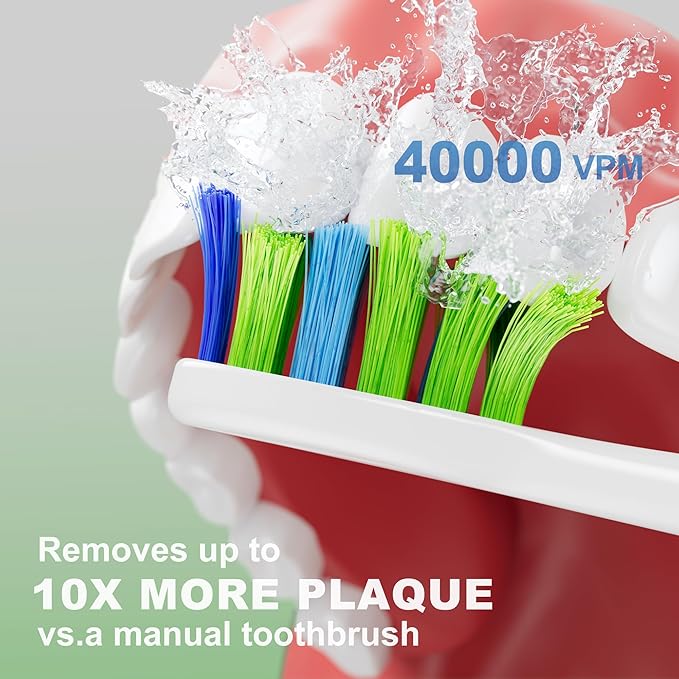 7AM2M Sonic Electric Toothbrush for Adults and Kids, 40000VPM Power Toothbrushes, Fast Rechargeable with 4 Brush Heads, 5 Modes, 2 Minutes Built in Smart Timer, One Charge for 60 Days (Green)