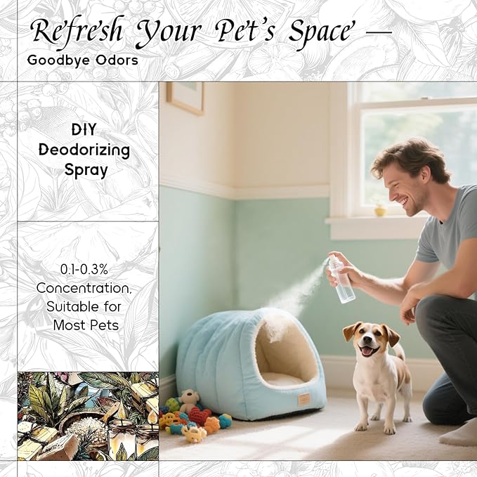 HIQILI Sea Salt Sage Fragrance Oil for Diffuser Use, Candle Making Scents, Soap Making Supplies, Car/Hotel Collection Diffuser Oil - 5.07 Fl Oz