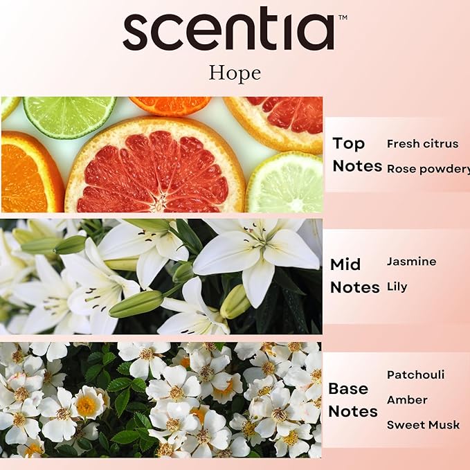 Coco-Chance-Inspired Diffuser Oil Refill - Scentia Hope Dupe Fragrance Oil Blend, Home Luxury Scents, Essential Oil Set for Aromatherapy Diﬀusers Candle Making | 20ml, 0.67 Fl Oz, Thanksgiving Gift