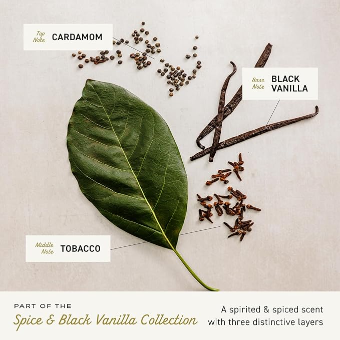 Cremo Cologne For Men - Spice & Black Vanilla Mens Cologne Spray, An Explosion of Vibrant Spices, Dark Woods and Black Vanilla, Multi-Layered Signature Men's Fragrances, 3.4 Fl Oz