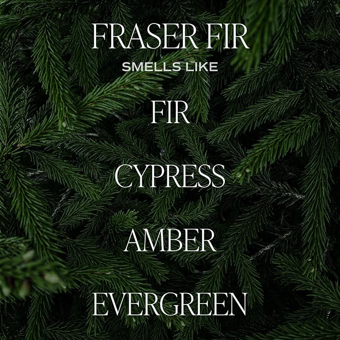 Sweet Water Decor Fraser Fir Candle | Evergreen, Cedar, Balsam, Pine Winter Christmas Tree Scented Soy Candles for Home | 9oz Clear Jar, 40 Hour Burn Time, Made in The USA