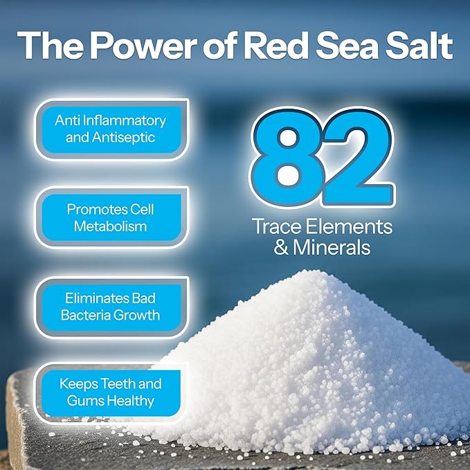 2 Pack H2Ocean Healing Rinse Mouthwash- Great Tasting Sea Salt & Xylitol Mouth Wash for Fresh Breath & Dry Mouth - Alcohol & Fluoride Free - Arctic Ocean Mint 16oz