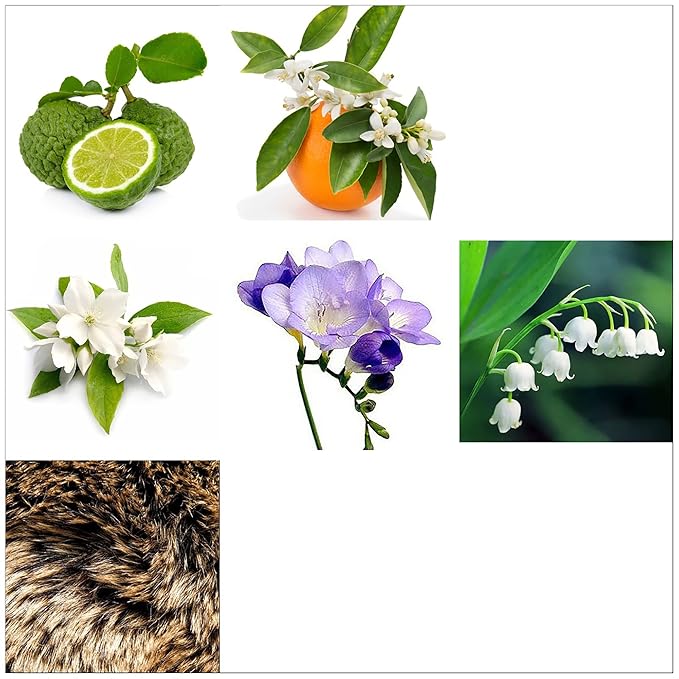 Rachel Zoe Instinct Eau De Parfum Spray - Floral Fragrance Body Spray for Women - Bergamot, Jasmine, And Musk - Designer Womens Perfume - 3.4 oz