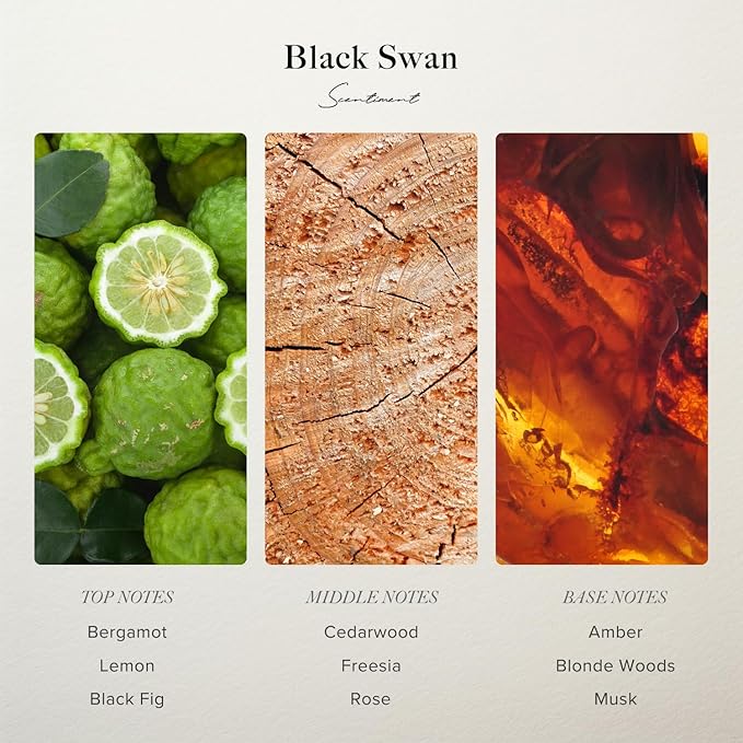 Scentiment - Black Swan Hotel Diffuser Oil | Aromatherapy Home Fragrance | Luxurious Scent with Notes of Blonde Woods, Rose, Black Fig (120 mL)