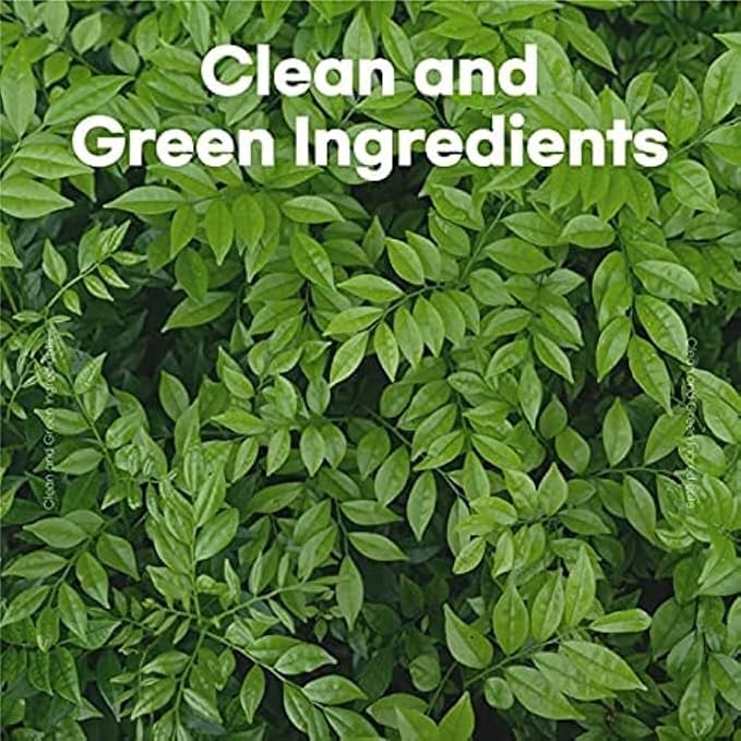 skybottle Perfumed Hand Cream, Lasting Fragrance, Moisturizing, Lime and Woody Scent with Shea Butter, 1.7 Fl. Oz (The Lime Tree)