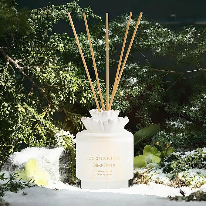 COCORRÍNA Gypsum Flower Reed Diffuser – Black Forest Scent, 6.76 oz Oil with 8 Sticks, Long-Lasting Home Fragrance for Bathroom Décor