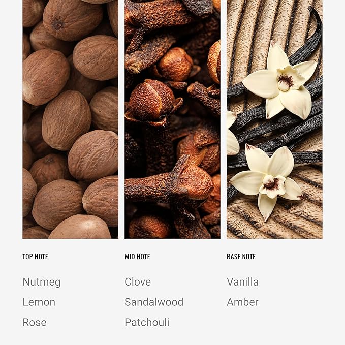 Hotel Collection | Midnight in Paris Reed Diffuser Oil Blend | Luxury Essential Aromatherapy Reed Diffuser | 4 Months Longevity | Sandalwood, Vanilla and Amber | 100mL