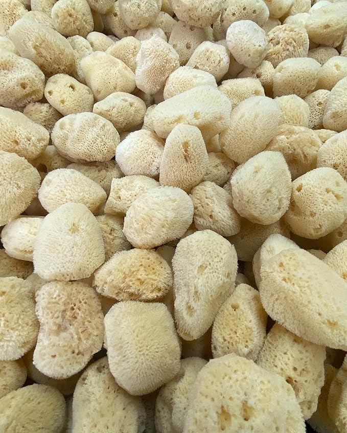 Soft Natural 6 Silk Sponges 1.5"-3" Cosmetic Makeup Application Removal Face Eye Nail Cleaning Like Cotton Balls Awesome Aquatic Creating The Perfect Home Bath & Shower Experience