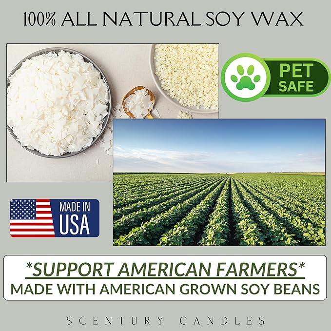 Fraser Fir Pine Scented Candle, Many Scents to Choose from, Christmas Tree Scented, All Natural Non-Toxic Soy Wax, Handmade in The USA (Fraser Fir)