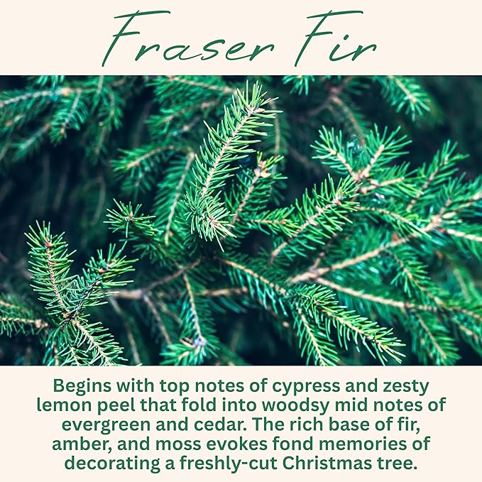 Fraser Fir Pine Scented Candle, Many Scents to Choose from, Christmas Tree Scented, All Natural Non-Toxic Soy Wax, Handmade in The USA (Fraser Fir)