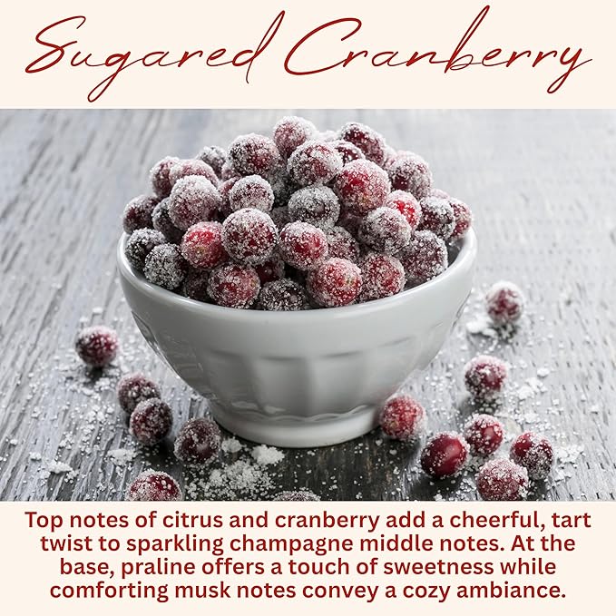Sugared Cranberry Holiday Scented Candle, Many Scents to Choose from, All Natural Non-Toxic Soy Wax, Handmade in The USA (Sugared Cranberry)