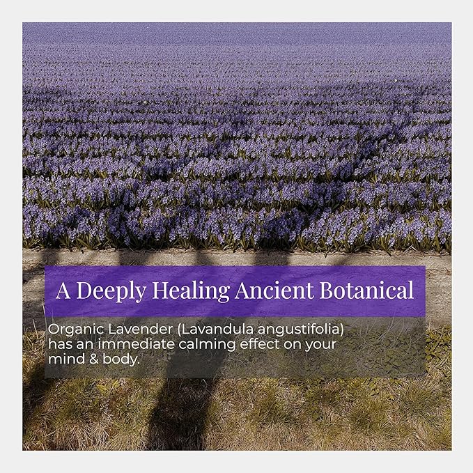 Silk Road Organic Lavender Essential Oil Roll On, USDA Certified, Calming, Relaxation & Sleep - 10 ml Aromatherapy Roller