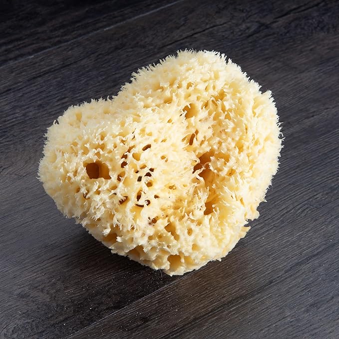 Sea Wool Sponge - All Natural Honeycomb Renewable Sea Sponge, Hand Cut, Jumbo, Approx. 7 Inches (Pack of 2)